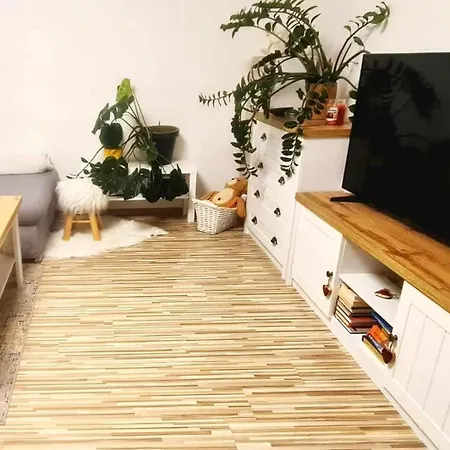 Apartmán Mika *